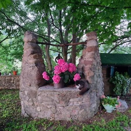 Agriturismo Case In Collina Volta Mantovana Buitenkant foto
